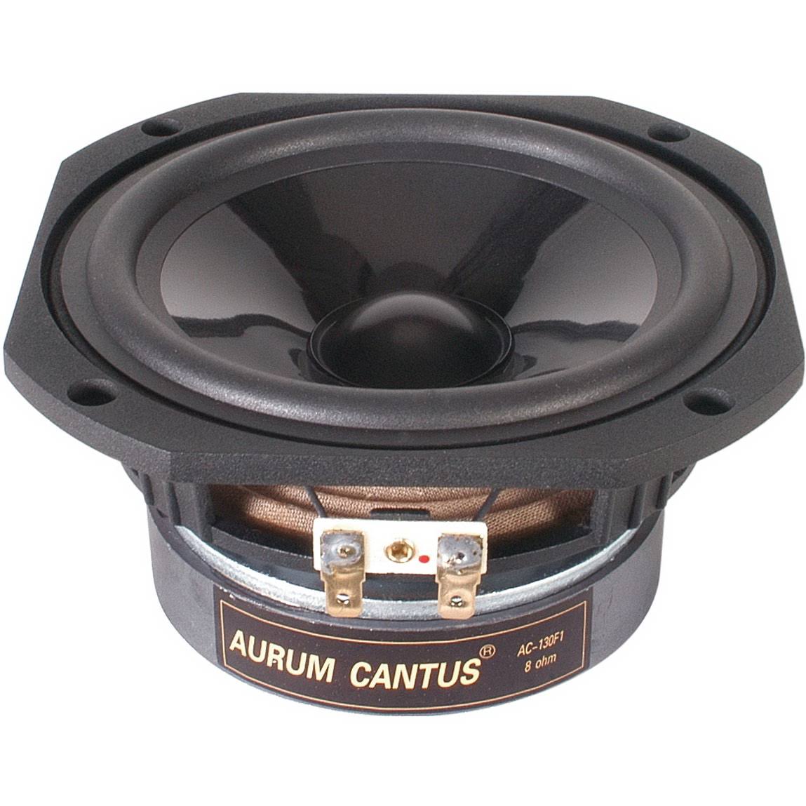 5-1/4x22 Woofer T5310