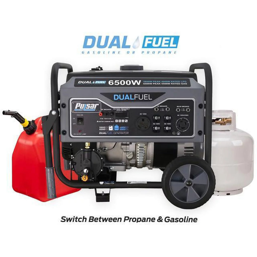 Heavy Duty Portable Dual Fuel Generator, 12,000 Watt G481
