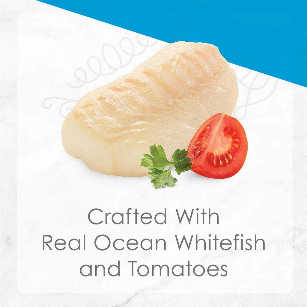 Ocean Whitefish Entree with Tomato in Gravy Wet Cat Food O6516