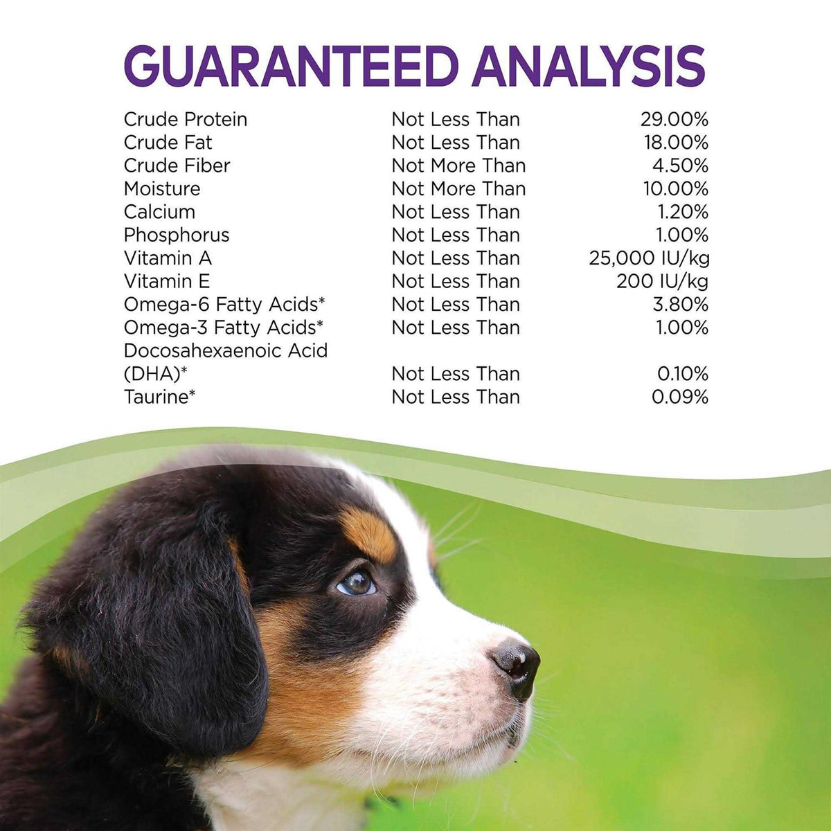 Chicken Puppy Food Q9947