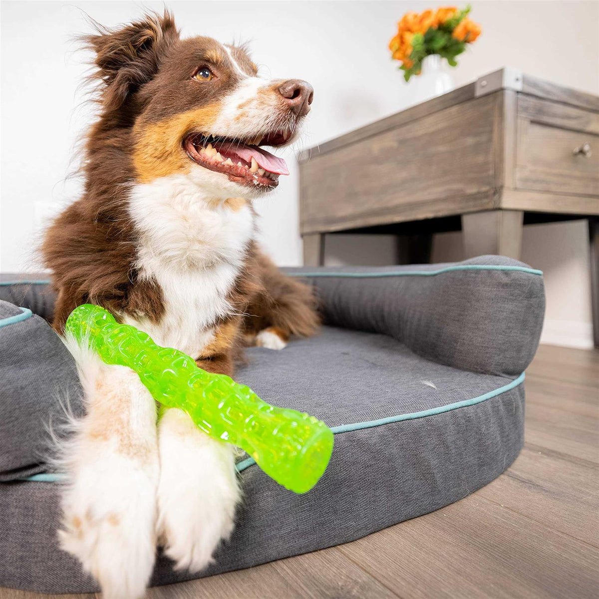 Dura-Squeaks Dog Toy Stick Q141890