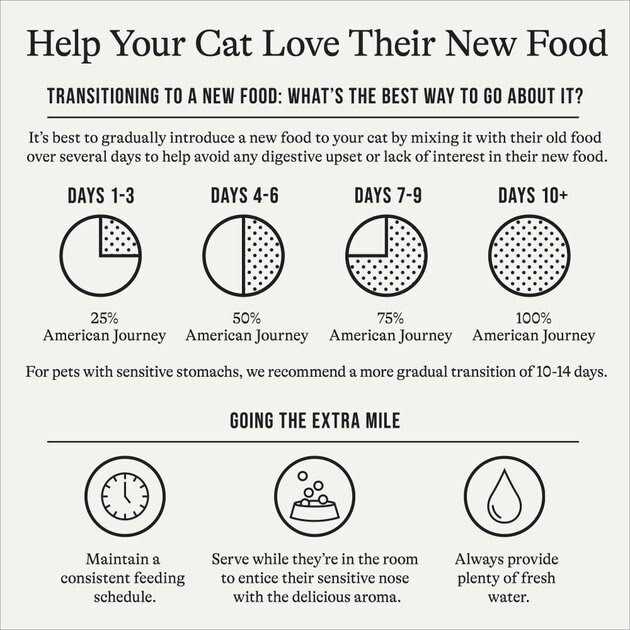 Salmon Grain-Free Dry Cat Food O5650
