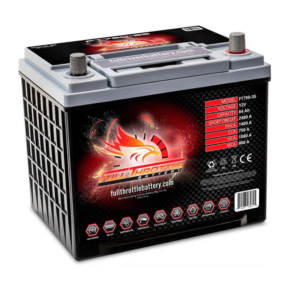 Group 35 AGM Battery D38253