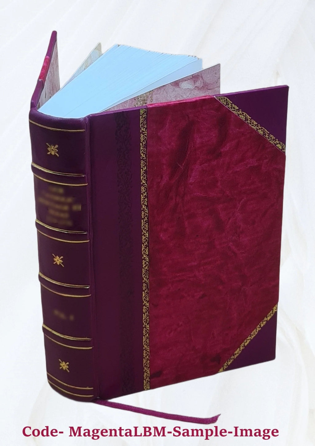 Leather Bound Mollusca Catalog V4894