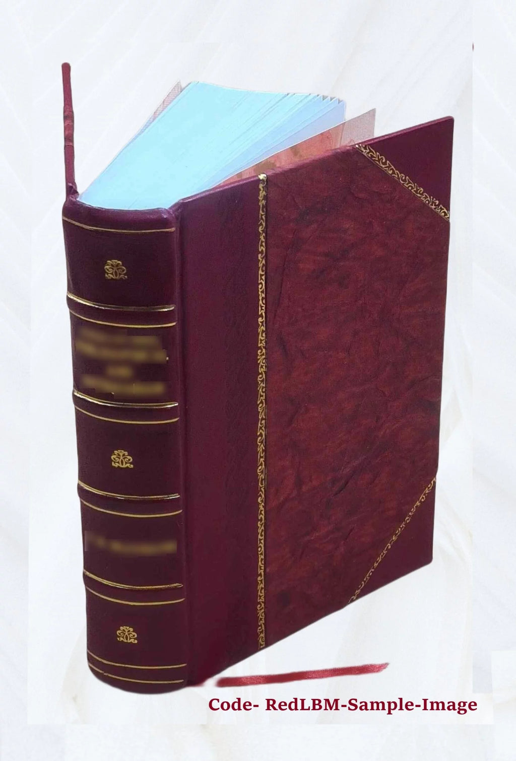 Leather Bound Mollusca Catalog V4894