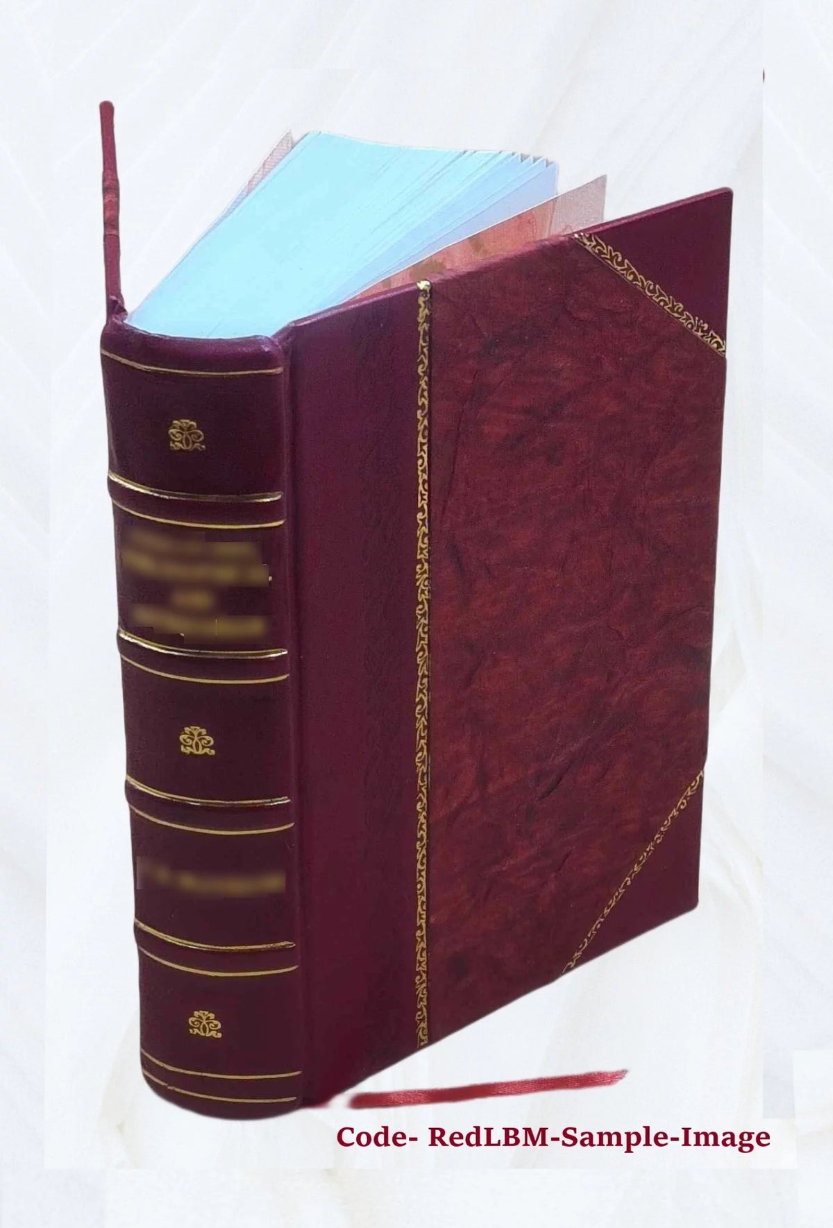 Leather Bound Mollusca Catalog V4894