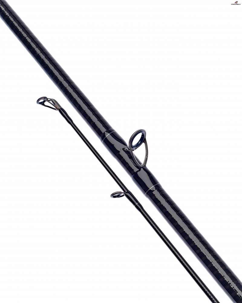 Baitcasting 40-80g 232cm B813182