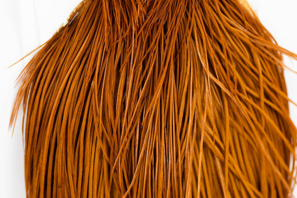 Silver Cape Medium Ginger U743495