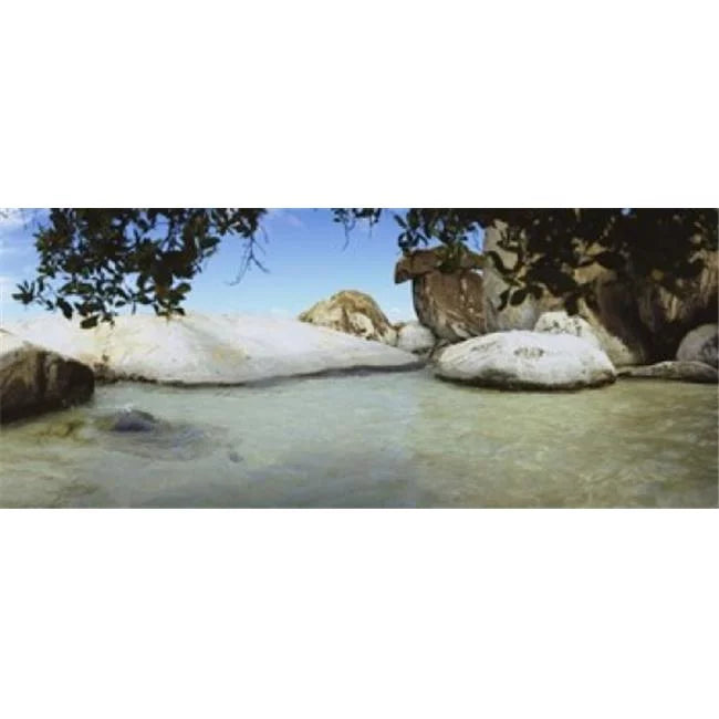 Poster Print 36 x 12 N934725