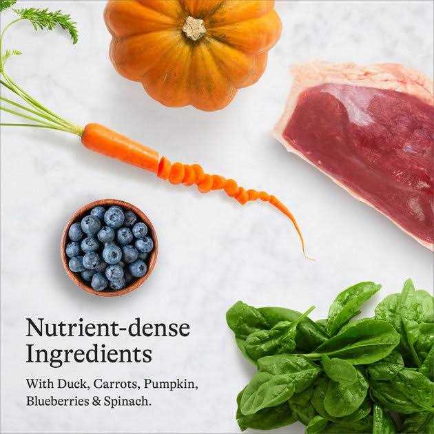 Salmon Grain-Free Dry Cat Food O5650