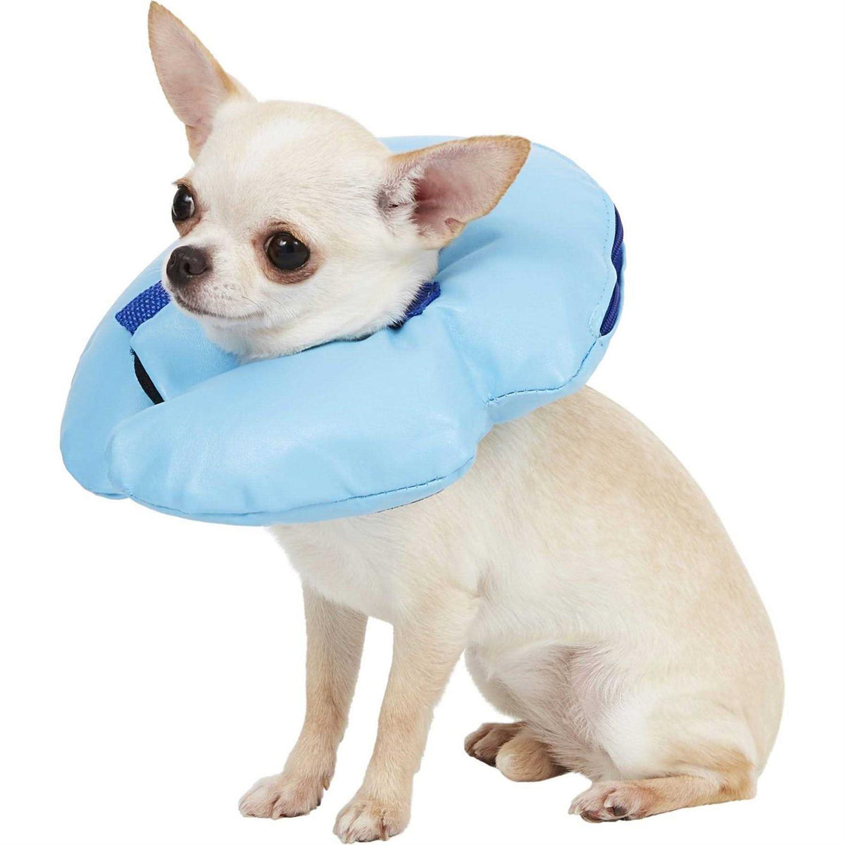 Inflatable Recovery Dog Collar E7925