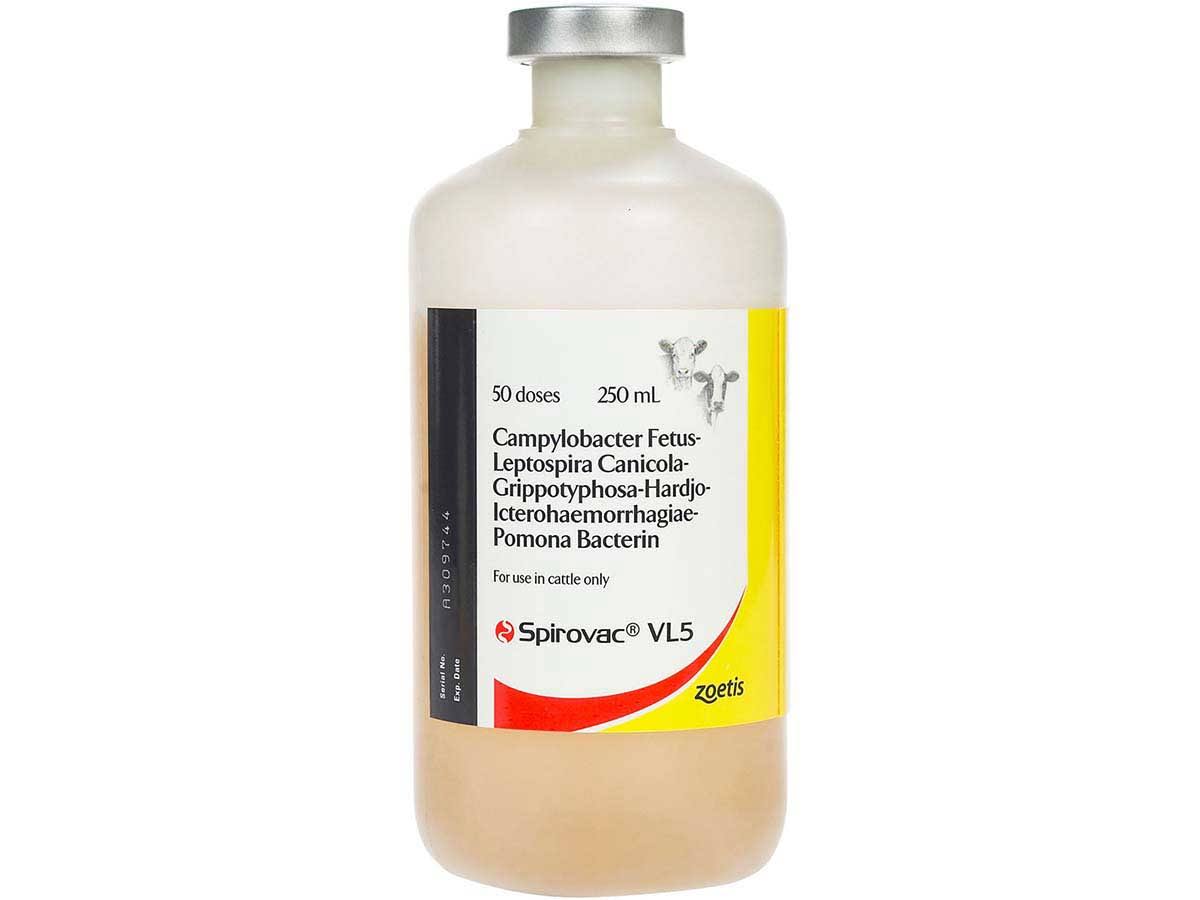 Cattle Vaccine 50 Dose J14278