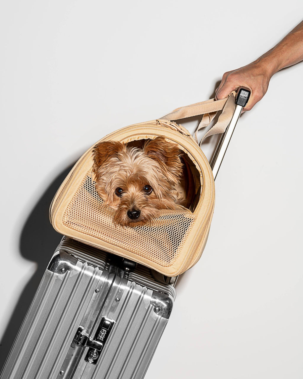 Green Travel Carrier J459614