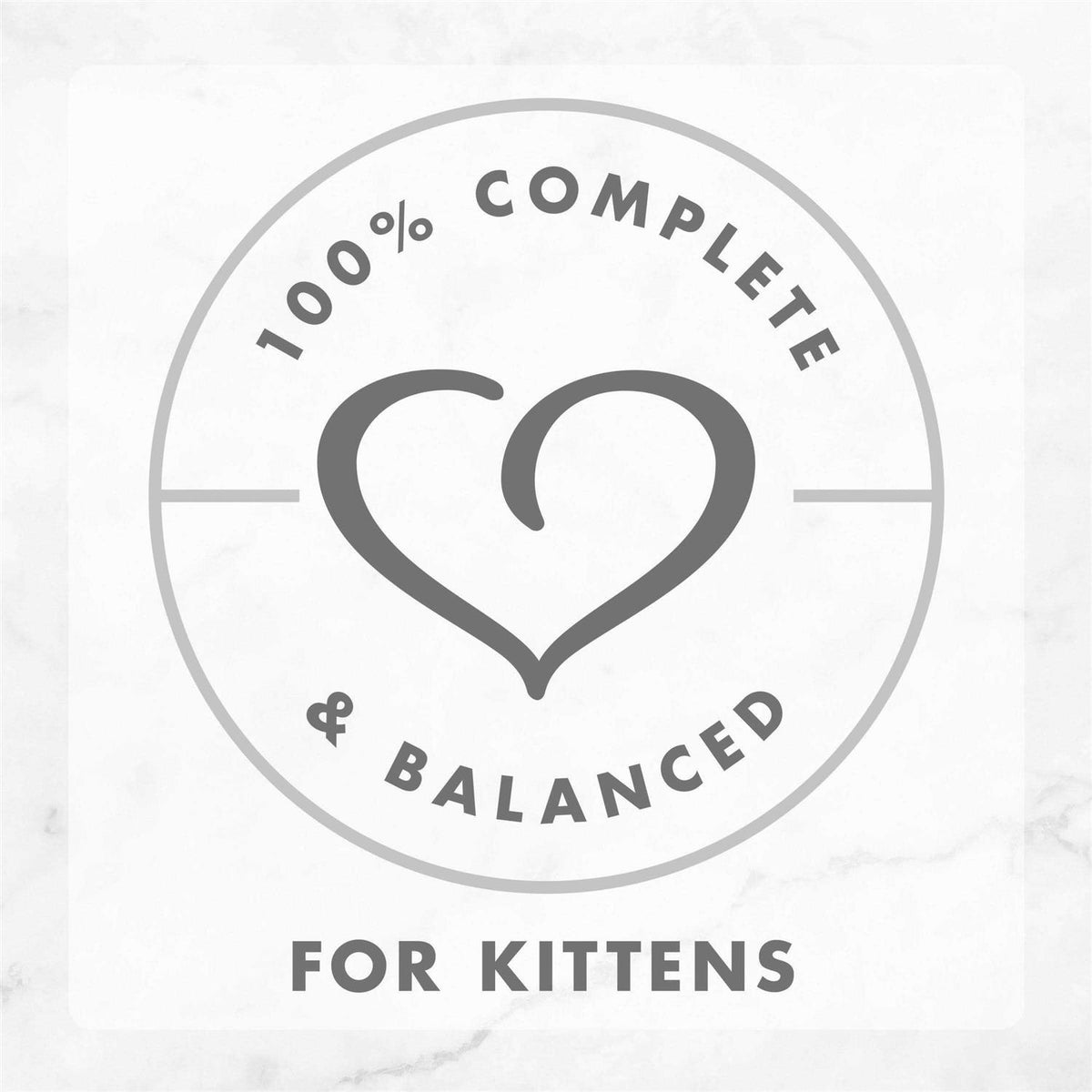 Grain Free Pate Wet Kitten Food B5083