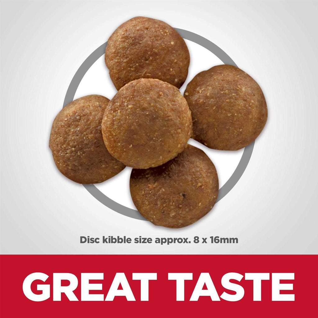 Chicken Dry Dog Food K67669