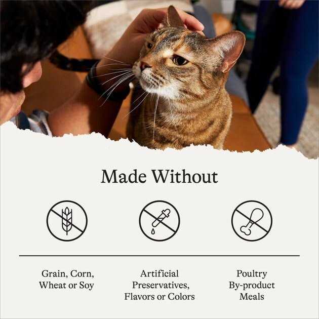 Salmon Grain-Free Dry Cat Food O5650