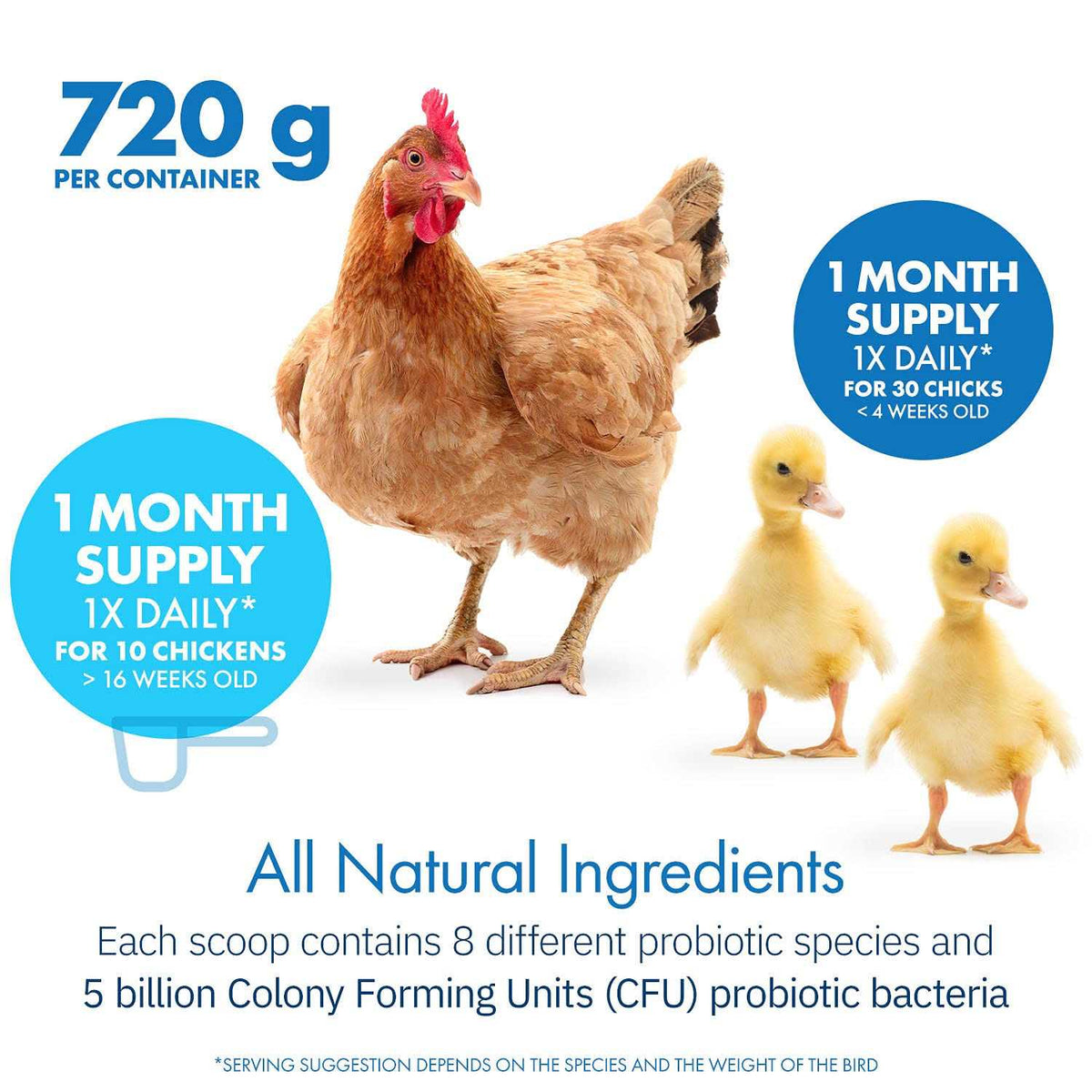 Probiotics for Chickens & Poultry O17847