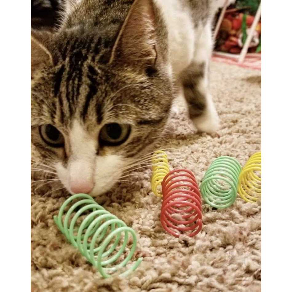 Colorful Springs Cat Toy H245