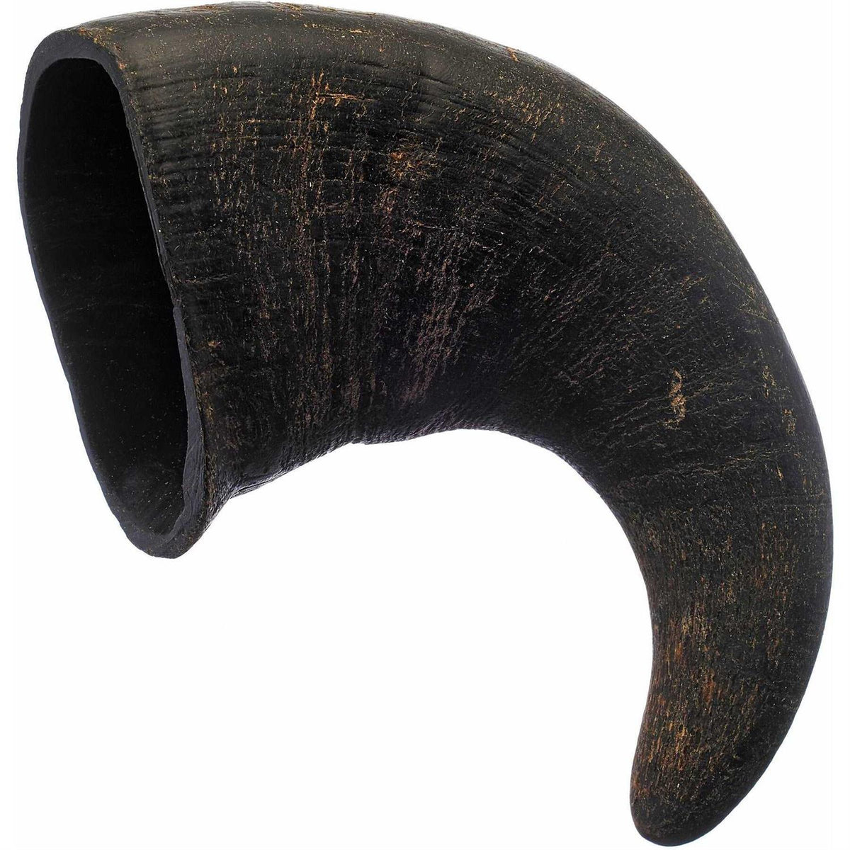 Water Buffalo Horn Dog Treat A93172