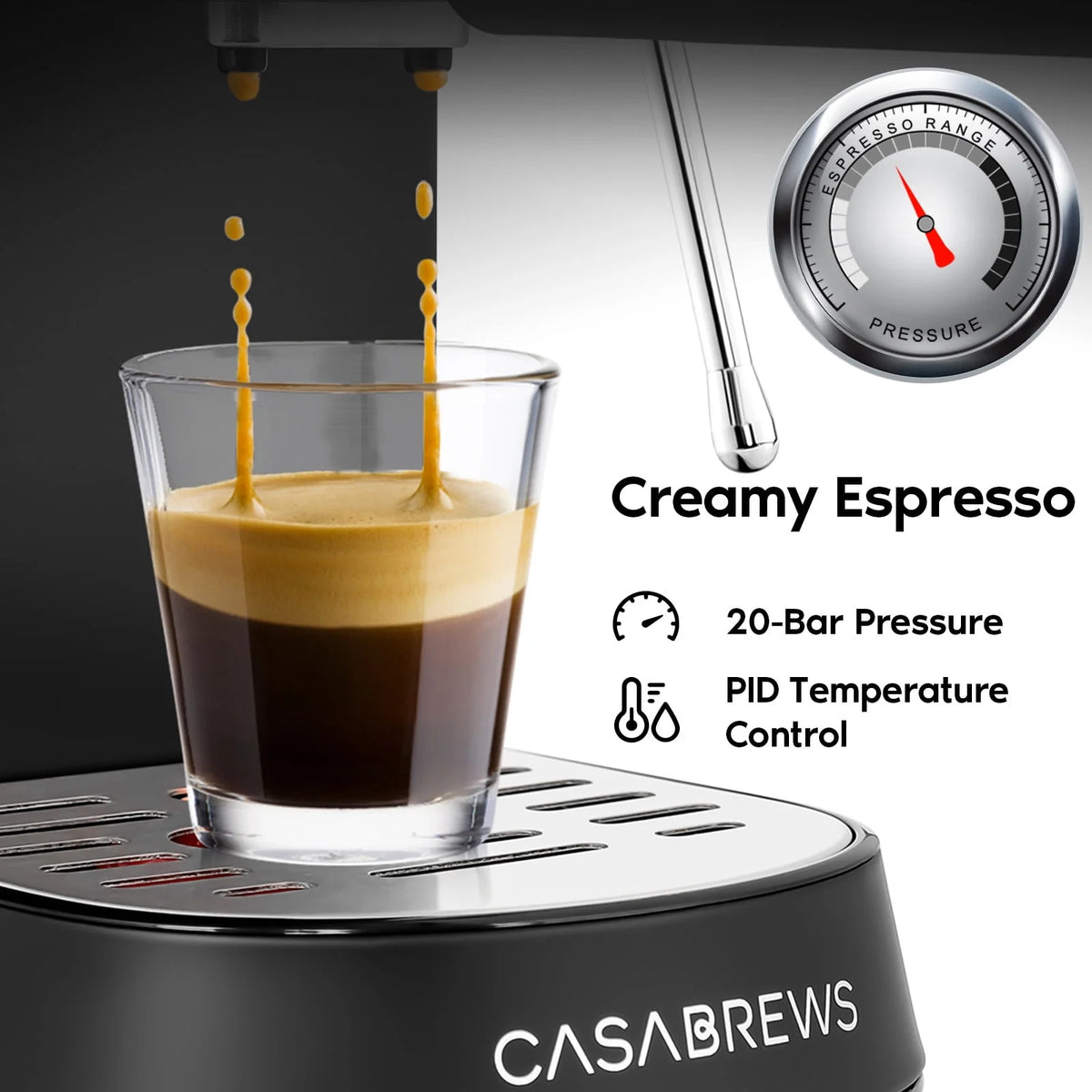 20 Bar Stainless Steel Espresso Machine with Milk Frother G721207