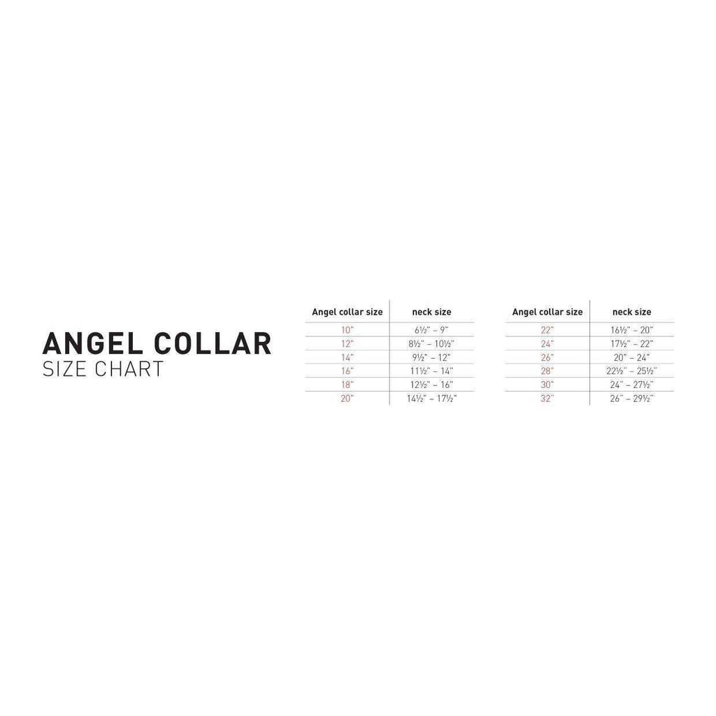 Dog Collar P200
