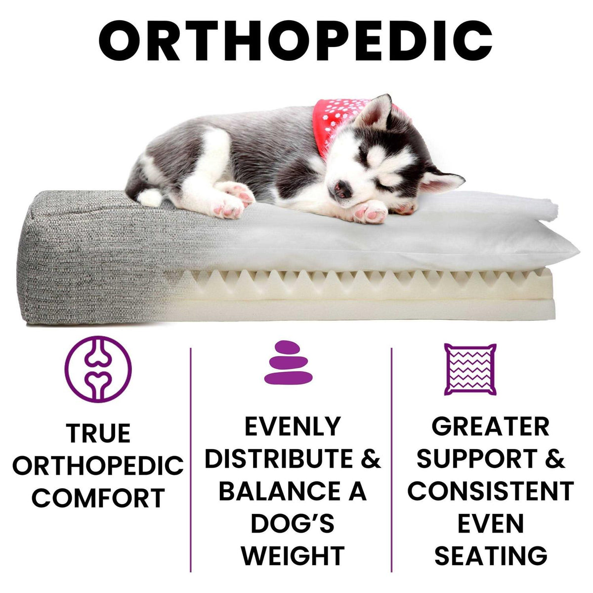 Orthopedic Dog Bed O378