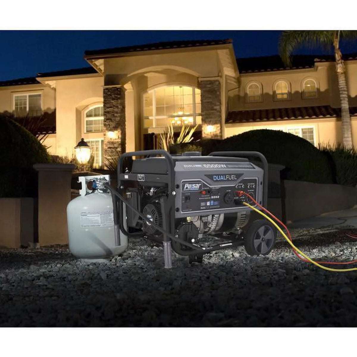Heavy Duty Portable Dual Fuel Generator, 12,000 Watt G481