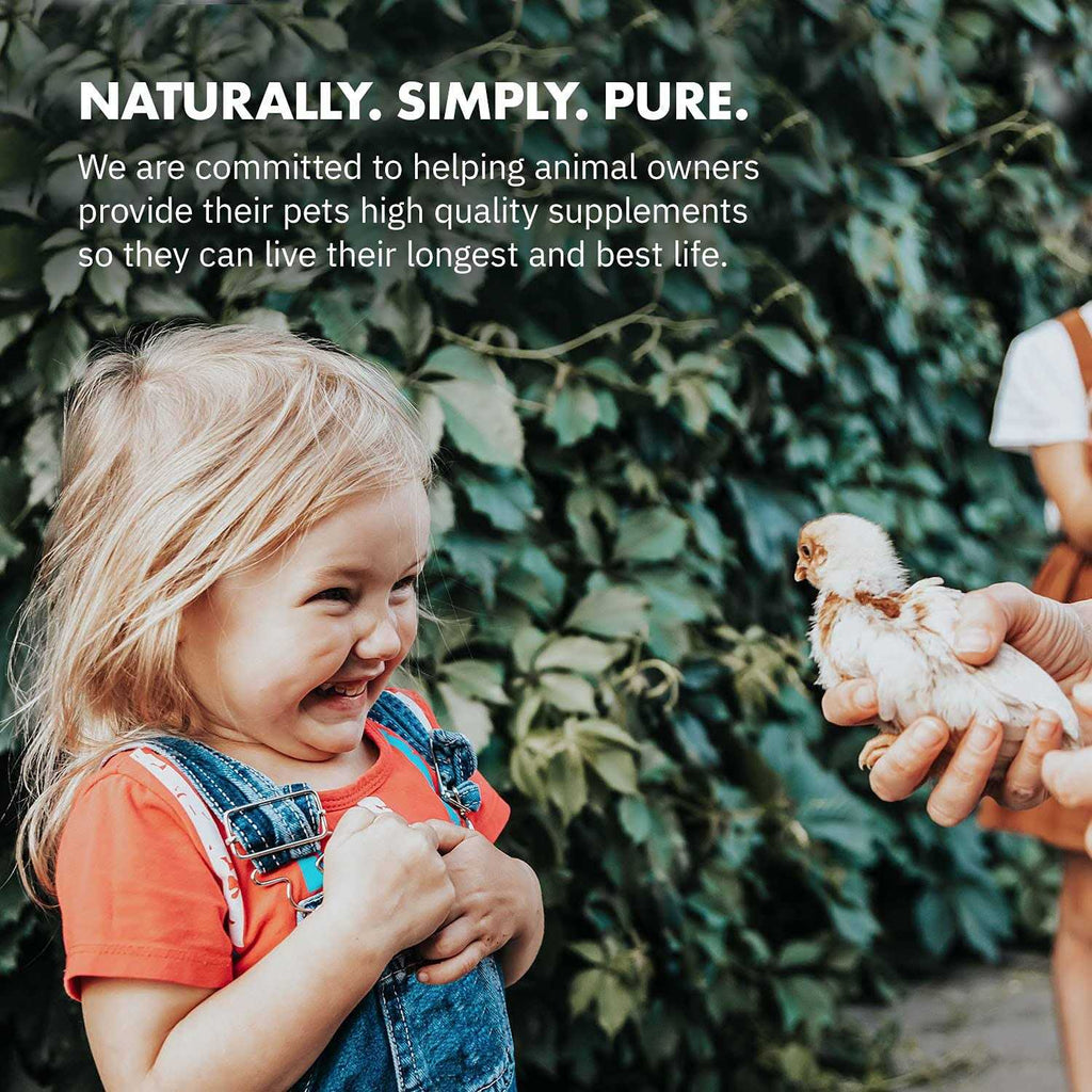 Probiotics for Chickens & Poultry O17847