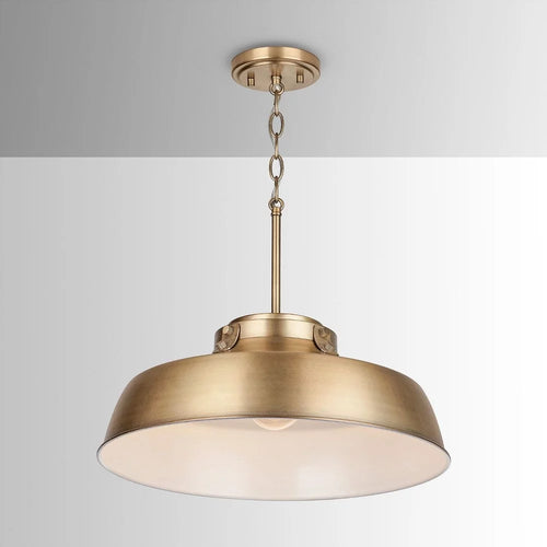 1 Light Pendant C35773