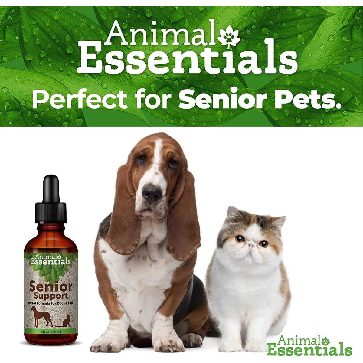 Senior Support Pet Supplies C8744