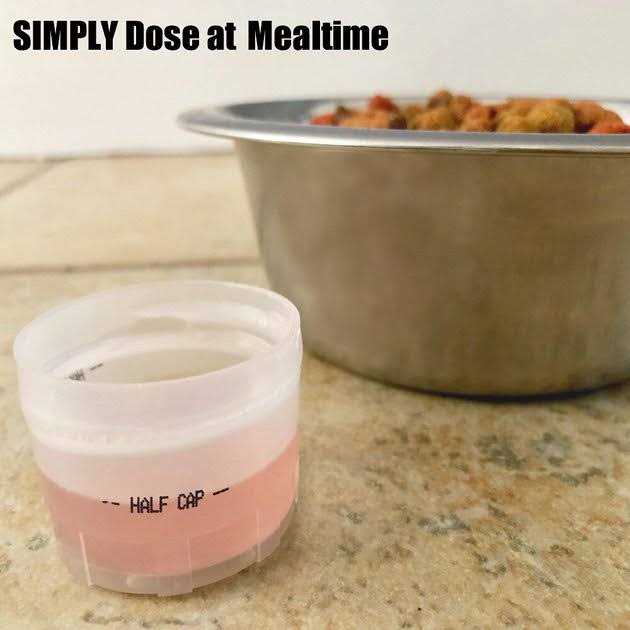 Teeth and Gums Support Cat Formula S97768