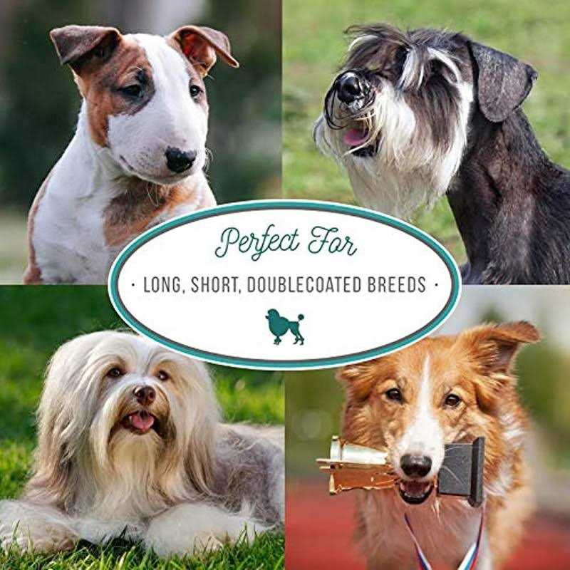 Dematt Conditioner for Dogs Cats B74082