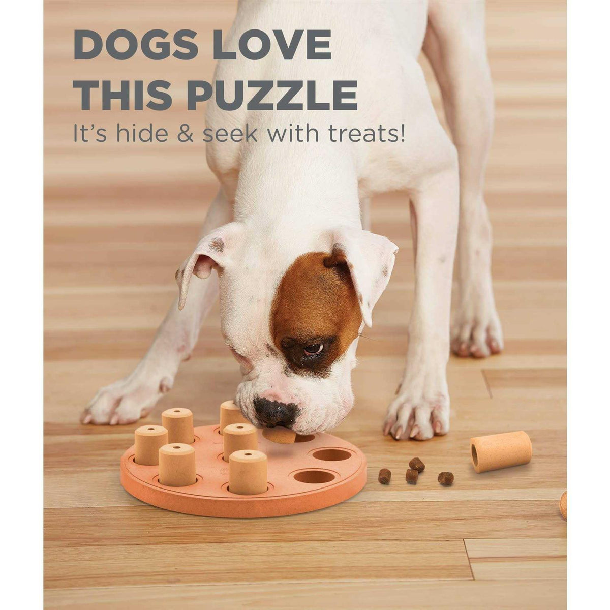 Dog Puzzle O1747