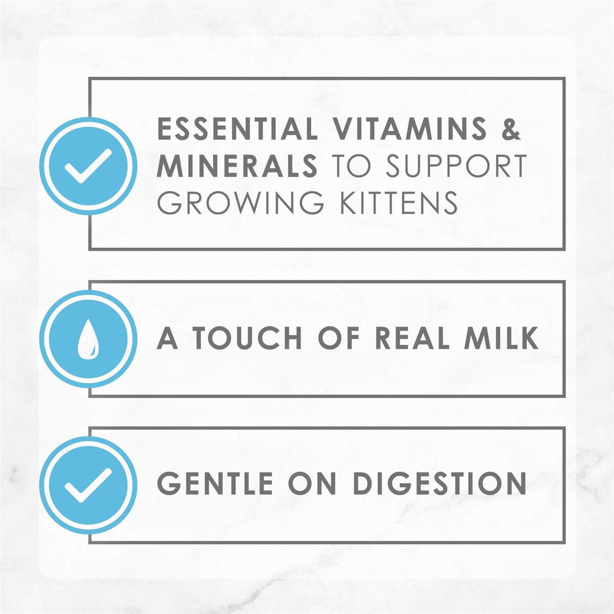 Grain Free Pate Wet Kitten Food B5083