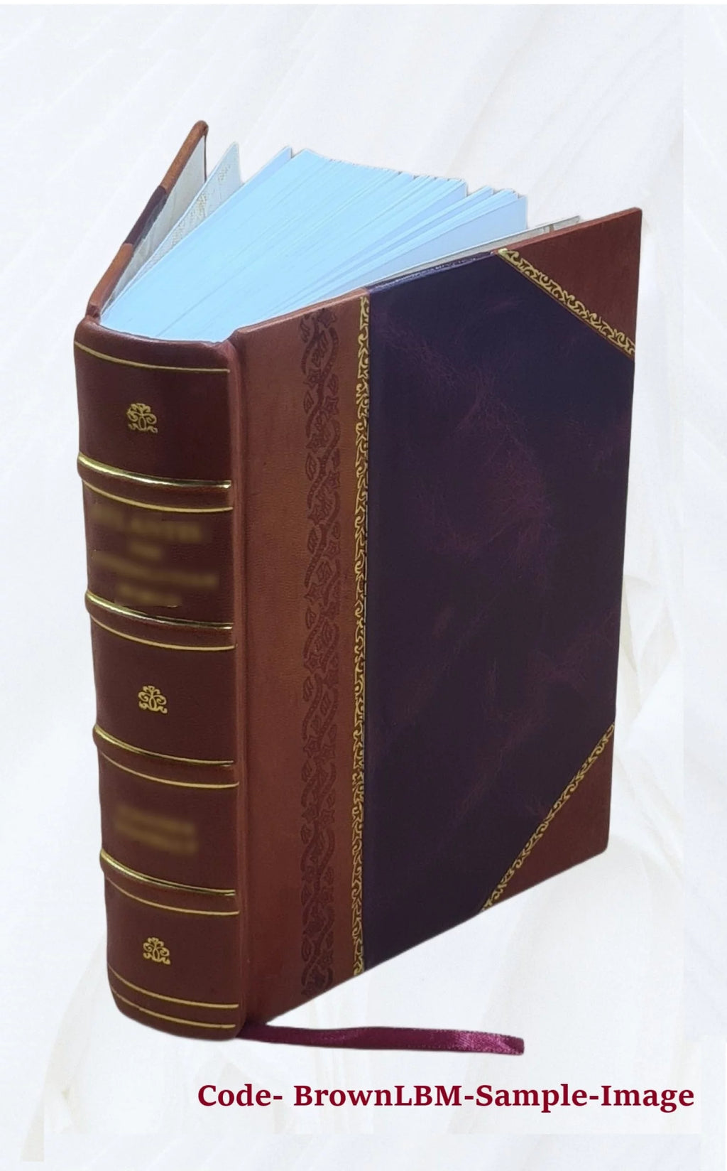 Leather Bound Mollusca Catalog V4894