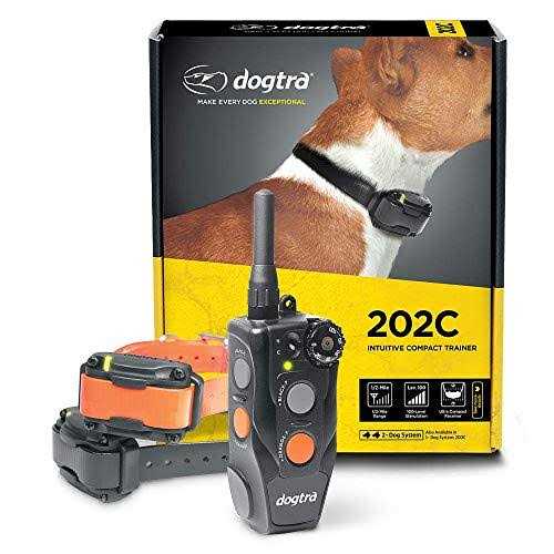 Remote Training Collar 2-Dog G8364