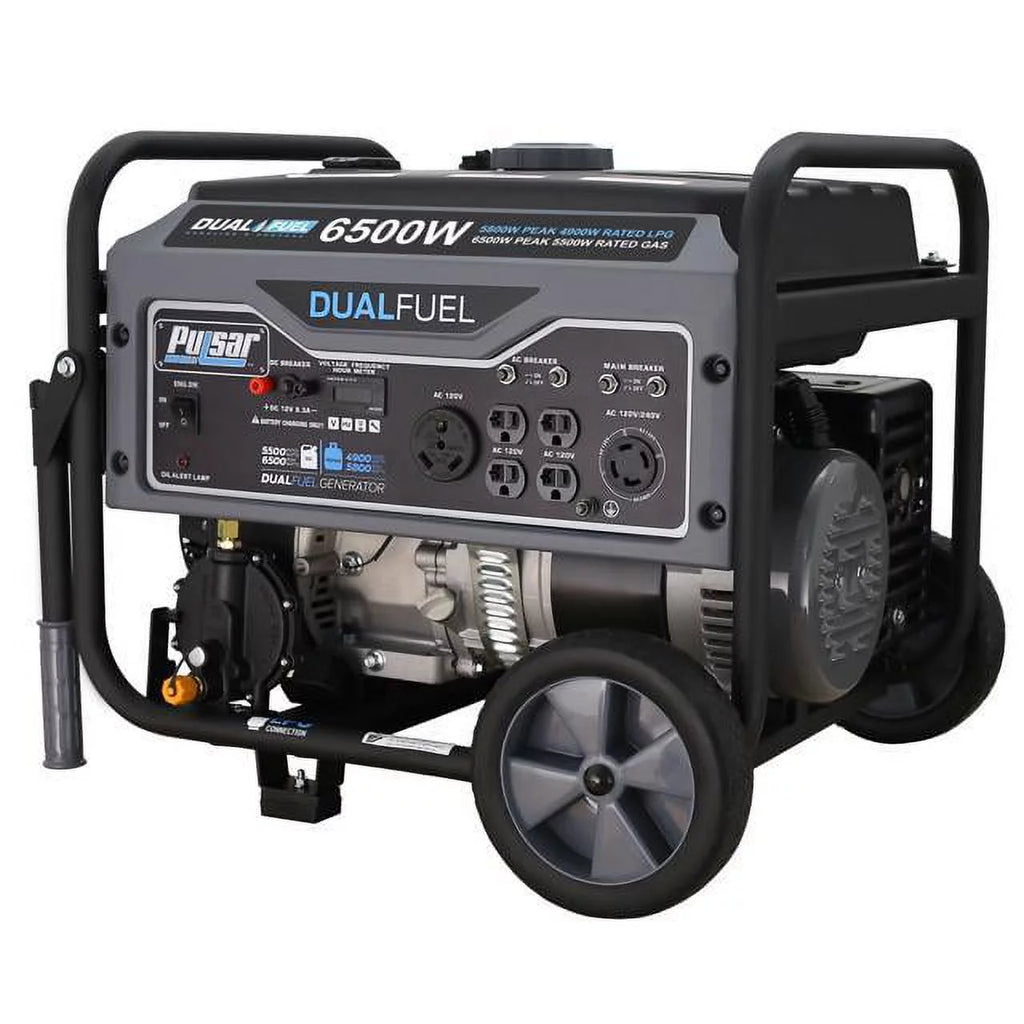 Heavy Duty Portable Dual Fuel Generator, 12,000 Watt G481