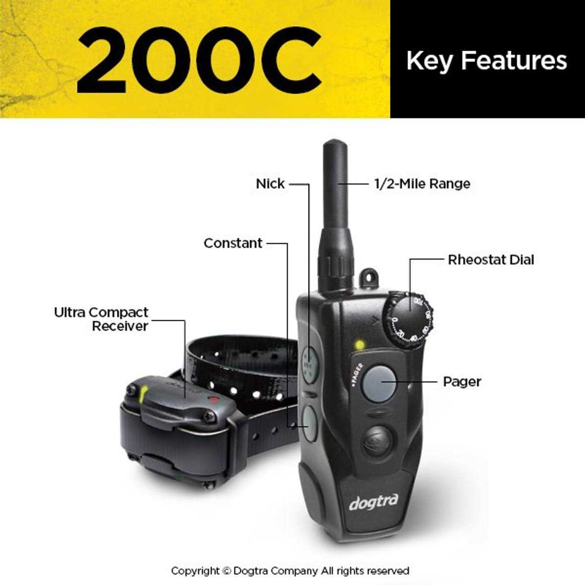 Remote Training Collar 2-Dog G8364