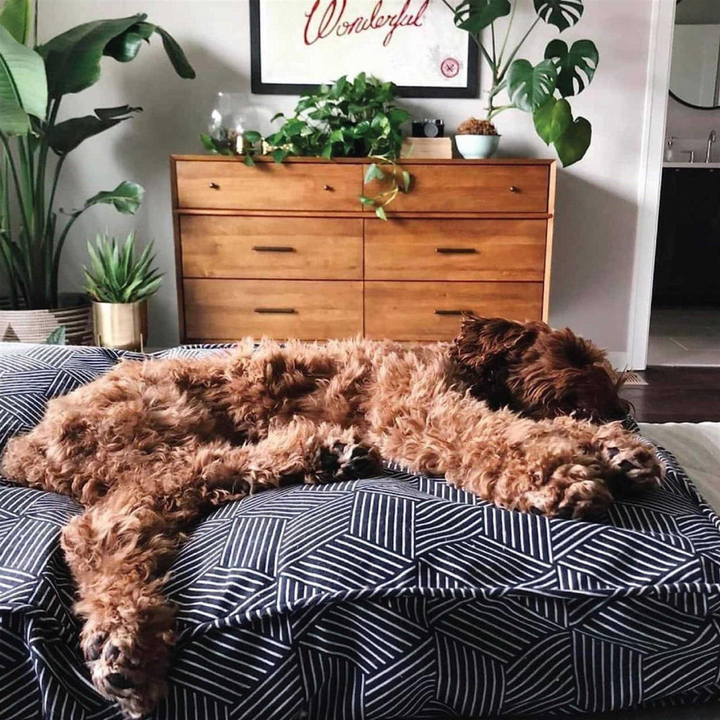 Dog Bed Duvet A96314