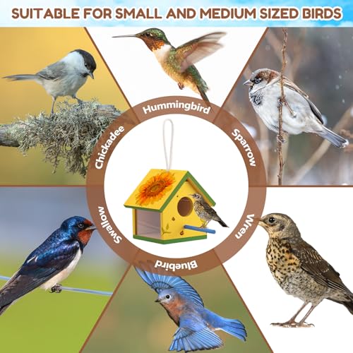 4 Set Wooden Birdhouse Kits with Lanyard and Post K474426
