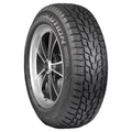 Winter 215/60R17 96T Passenger Tire C880