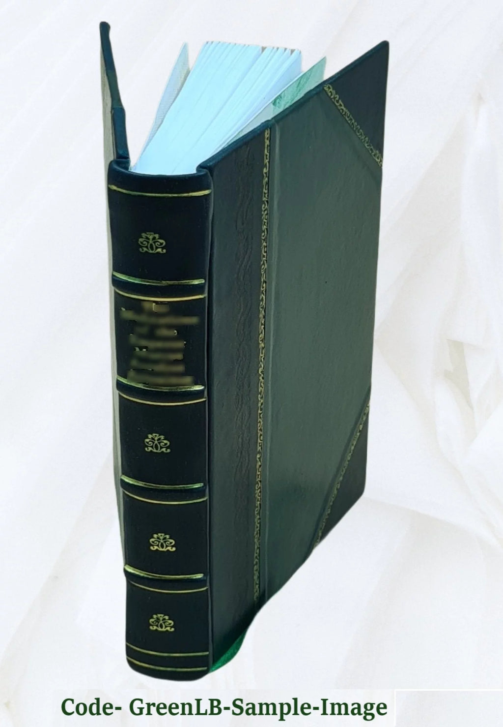 Leather Bound Book V41229