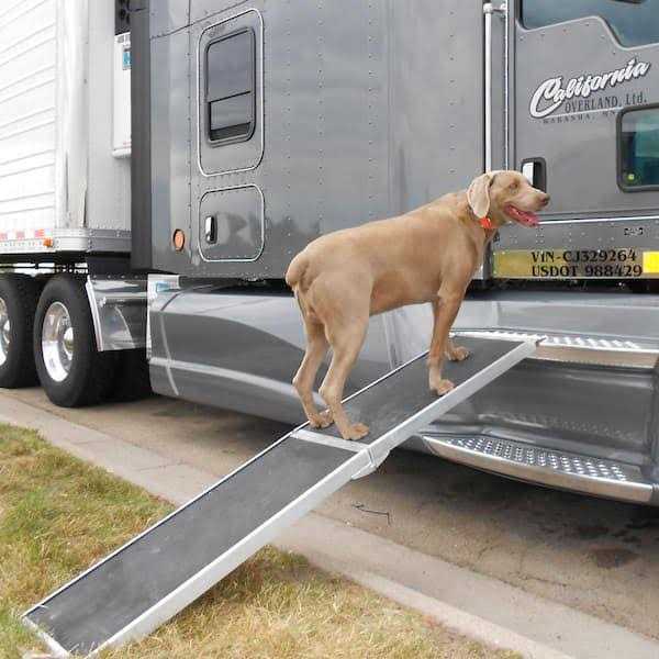 8 ft. Lightweight Portable Folding Aluminum Pet Ramp D9919