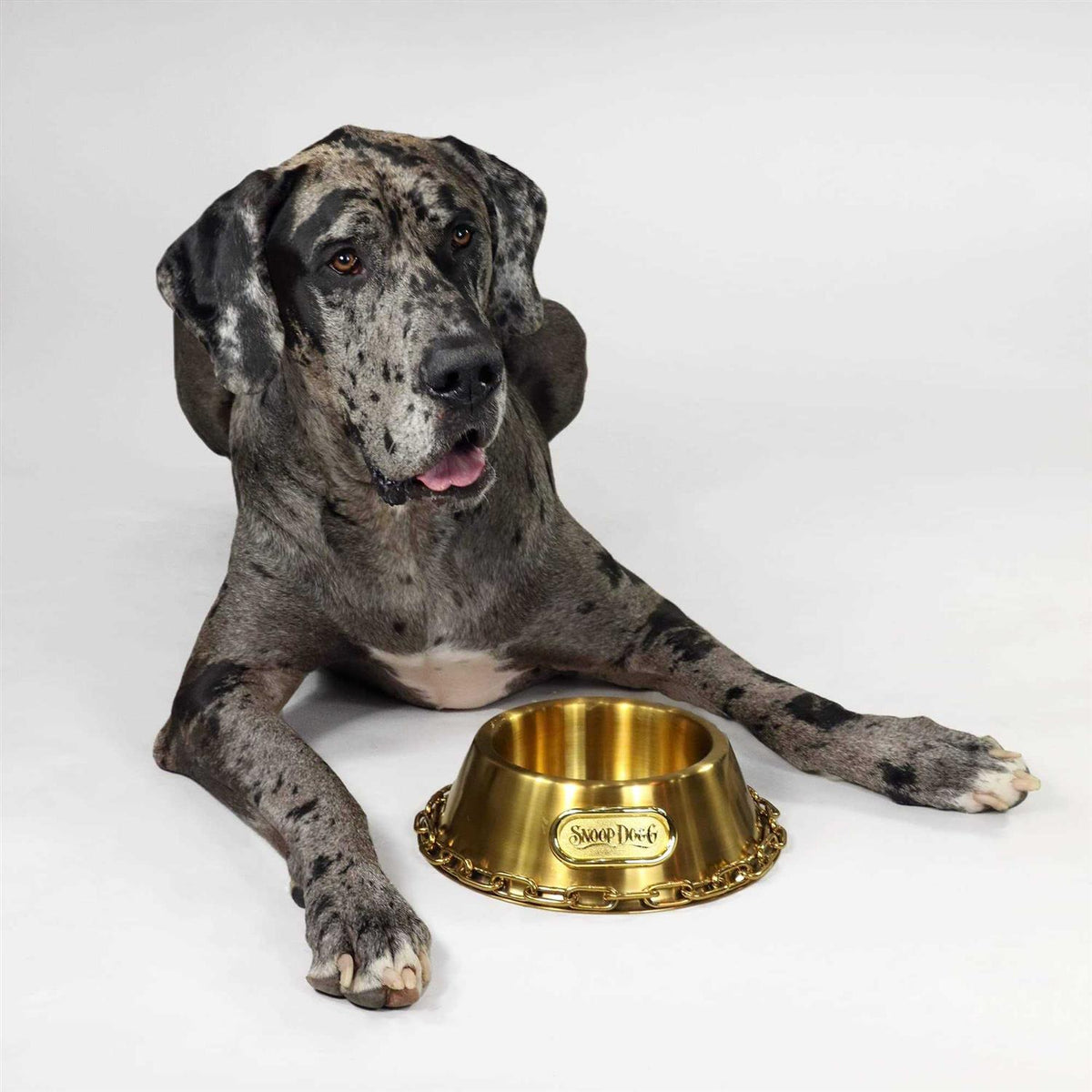 Pet Bowl L187403