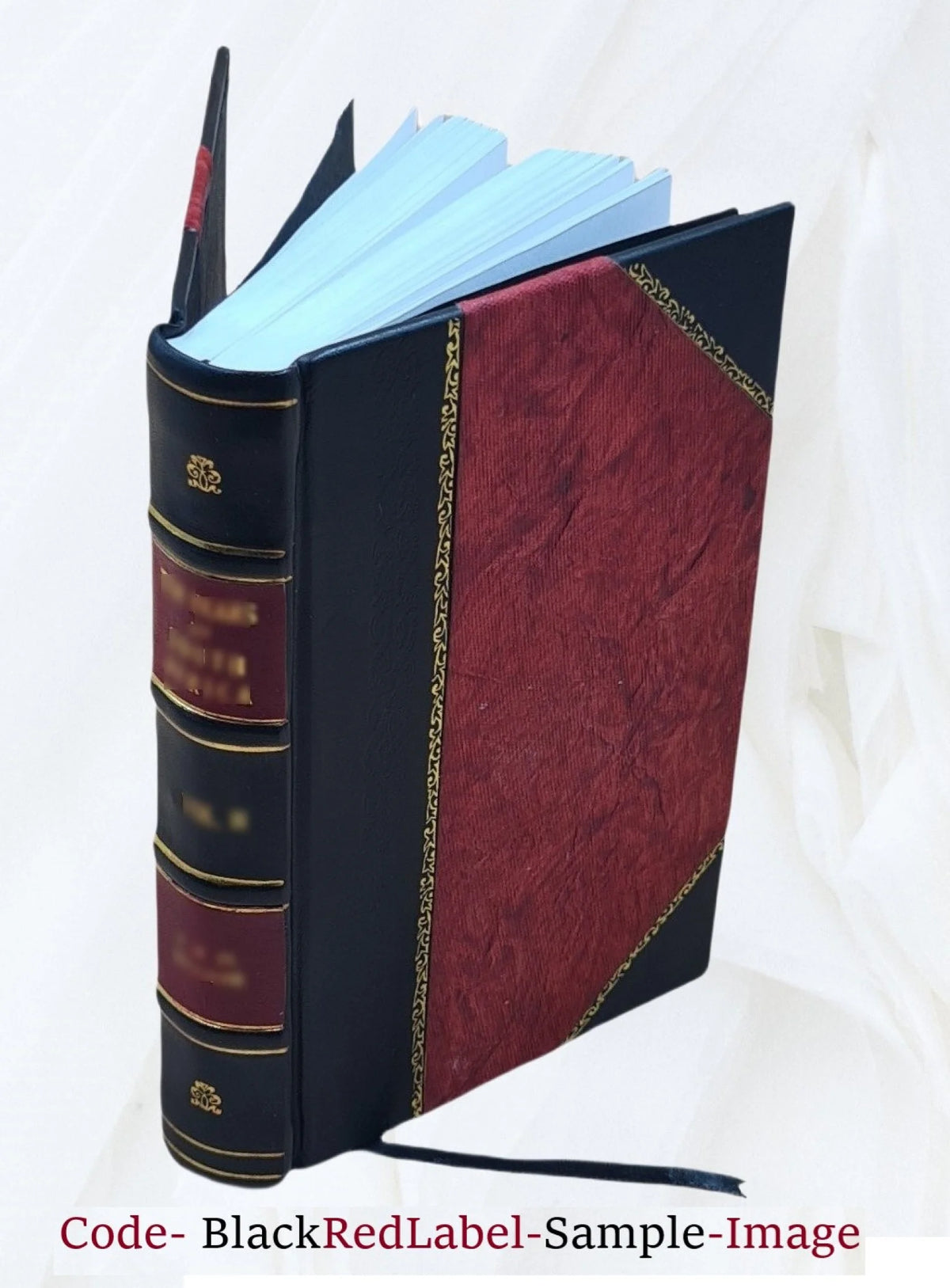 Leather Bound Book V41229